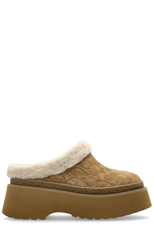 Coach Logo Signature Cecelia Clogs