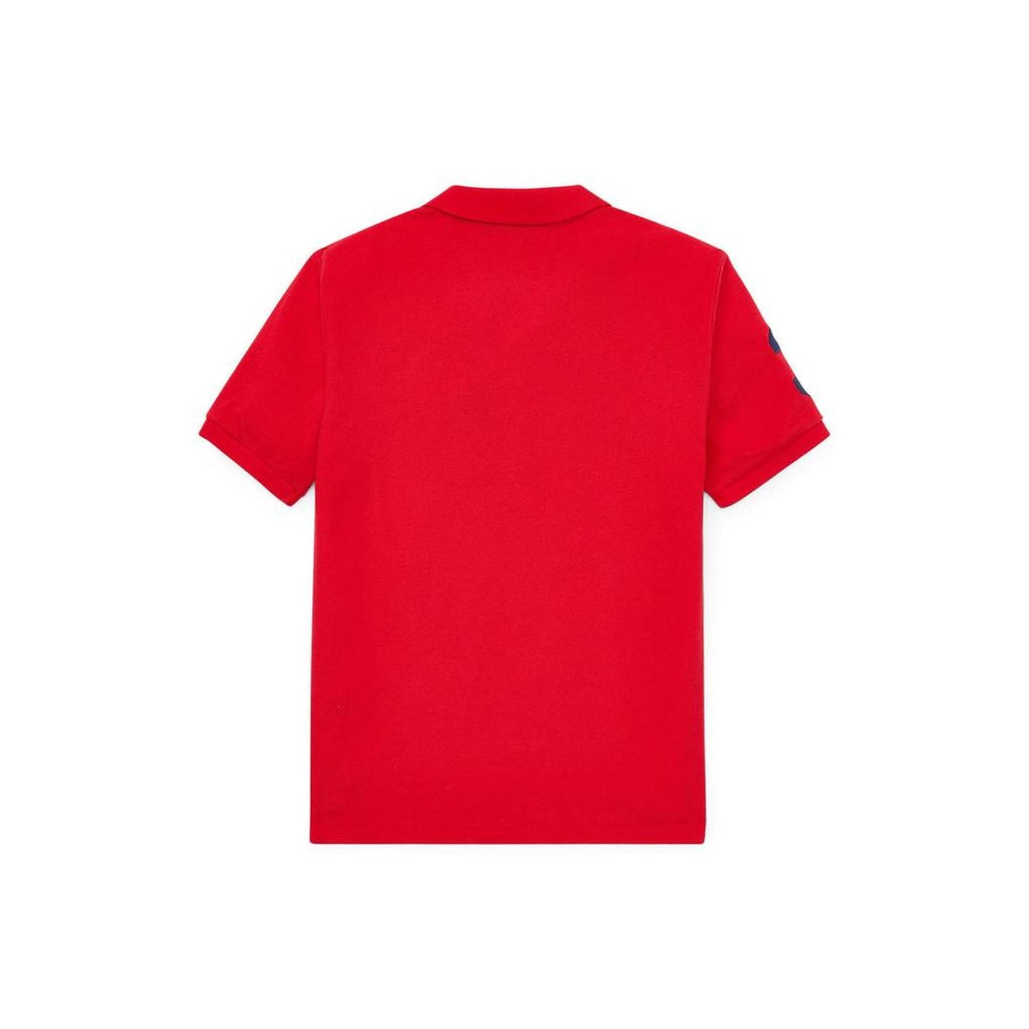 Big Pony Cotton Mesh Polo Shirt (Little Kids)