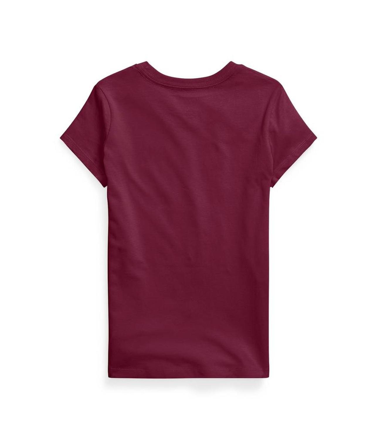 Short Sleeve Jersey T-Shirt (Big Kids)
