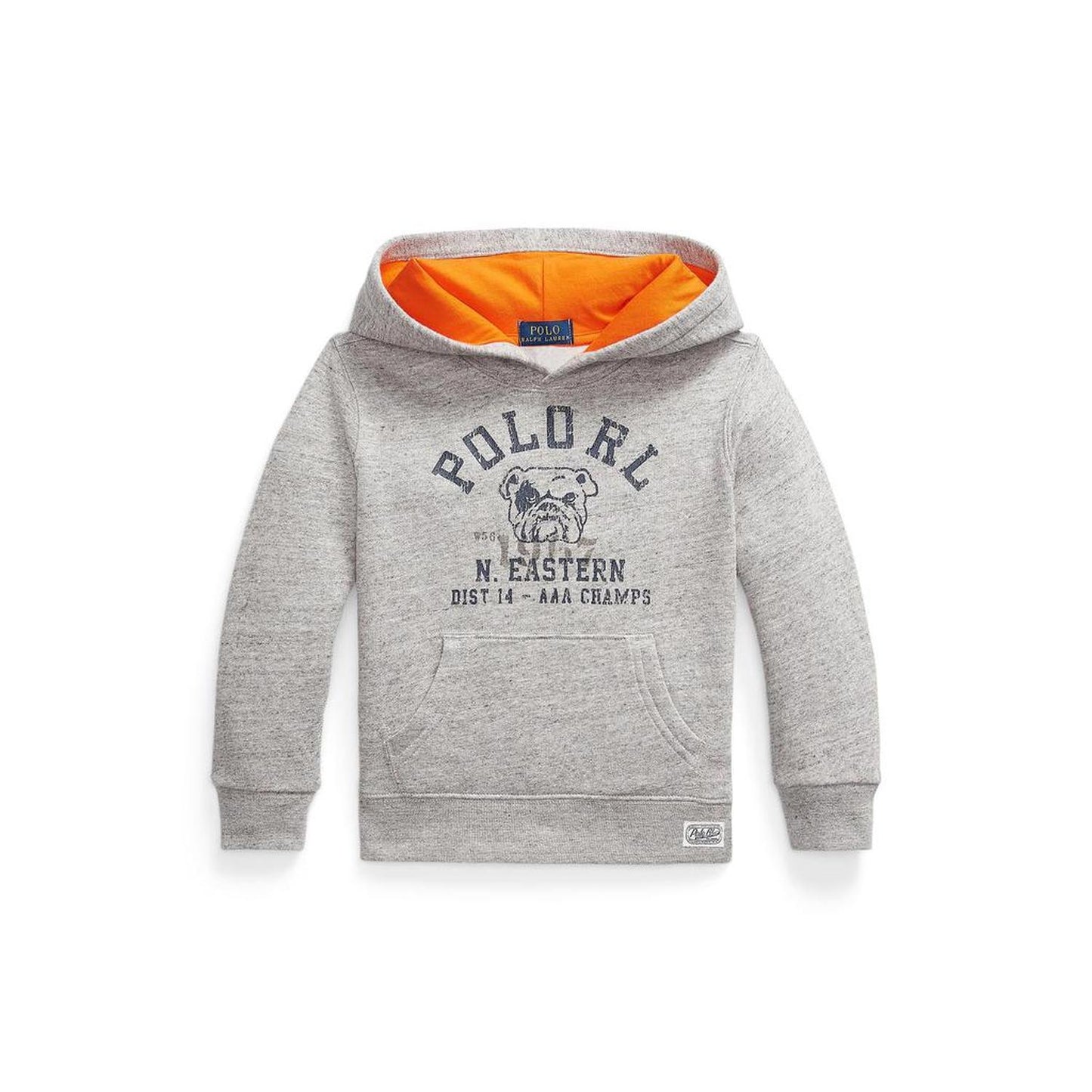 Fleece Graphic Hoodie (Toddler/Little Kid)