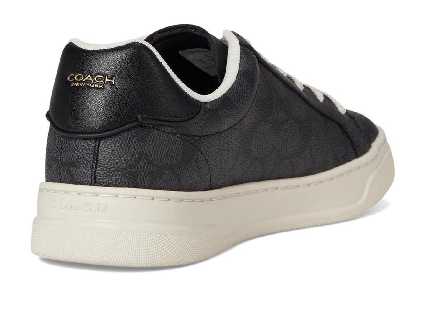 High Line Signature Coated Canvas Sneaker