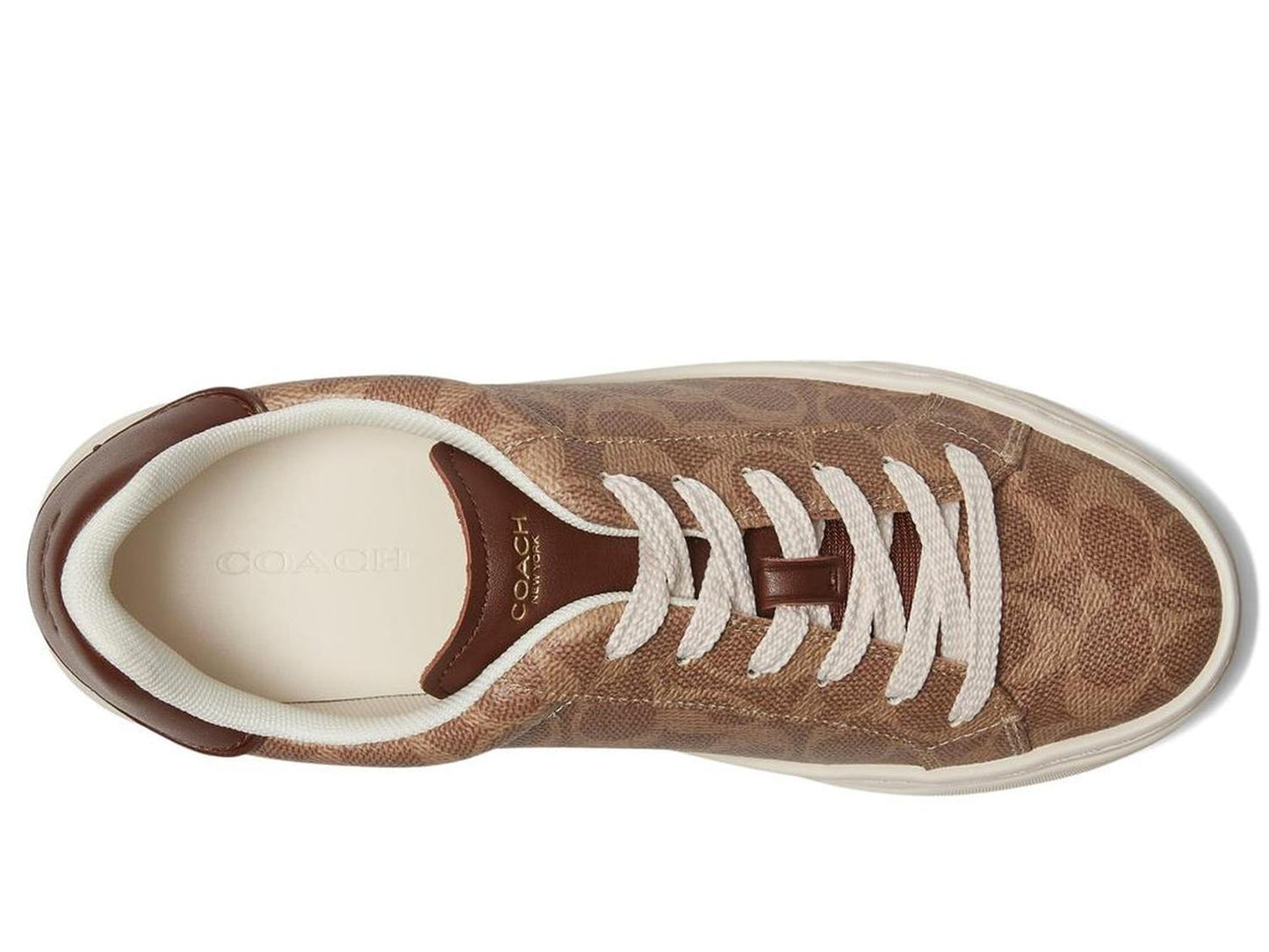 High Line Signature Coated Canvas Sneaker