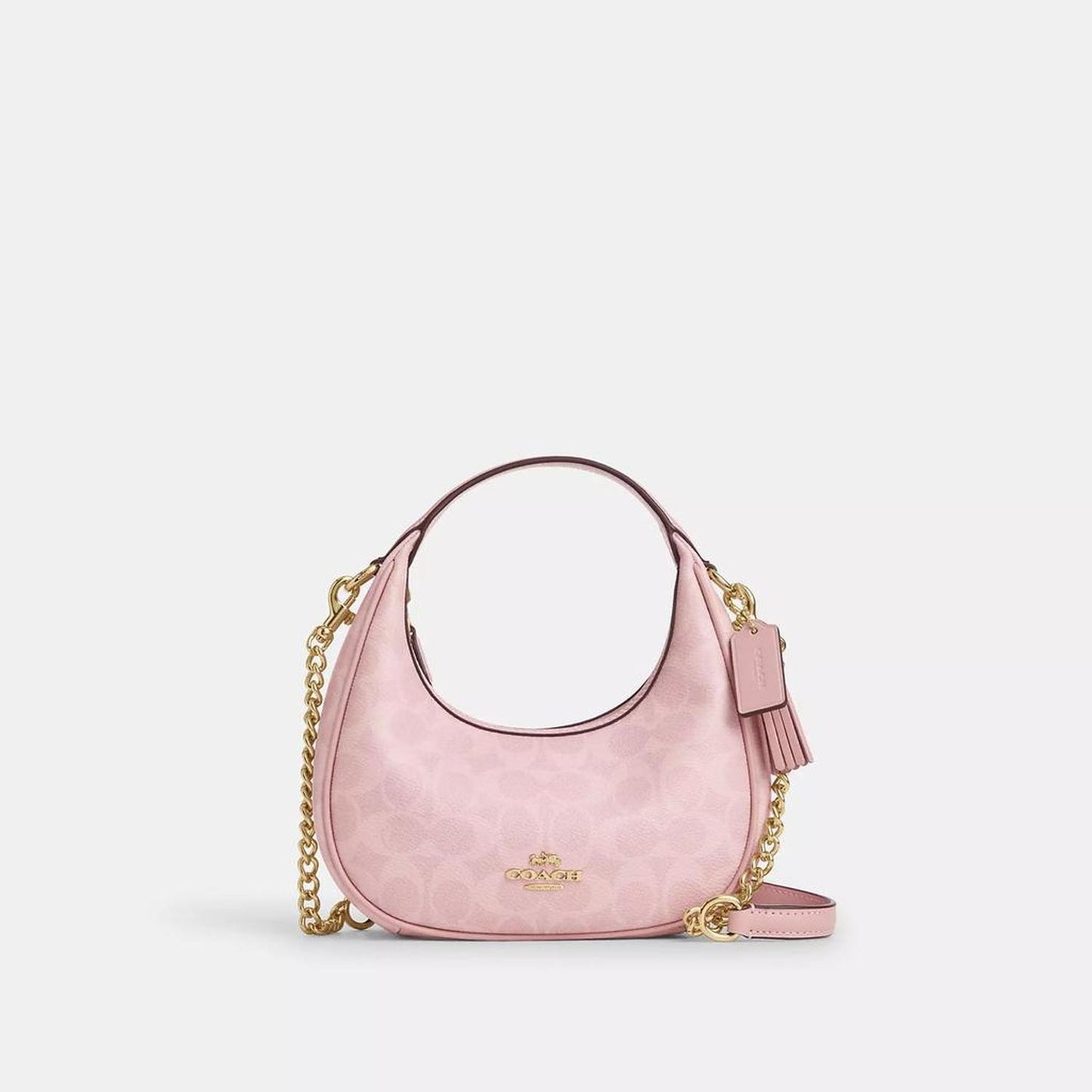 Carmen Mini Crossbody Bag In Signature Canvas