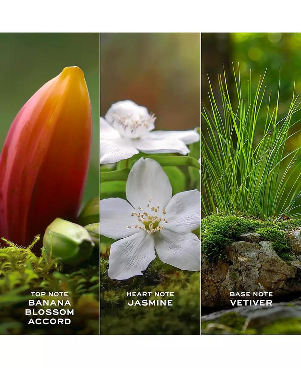 3-Pc. Daisy Wild Eau de Parfum Gift Set