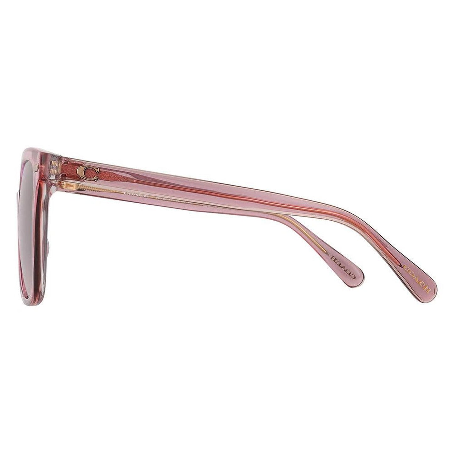 HC 8381U 57820J 54mm Womens Square Sunglasses