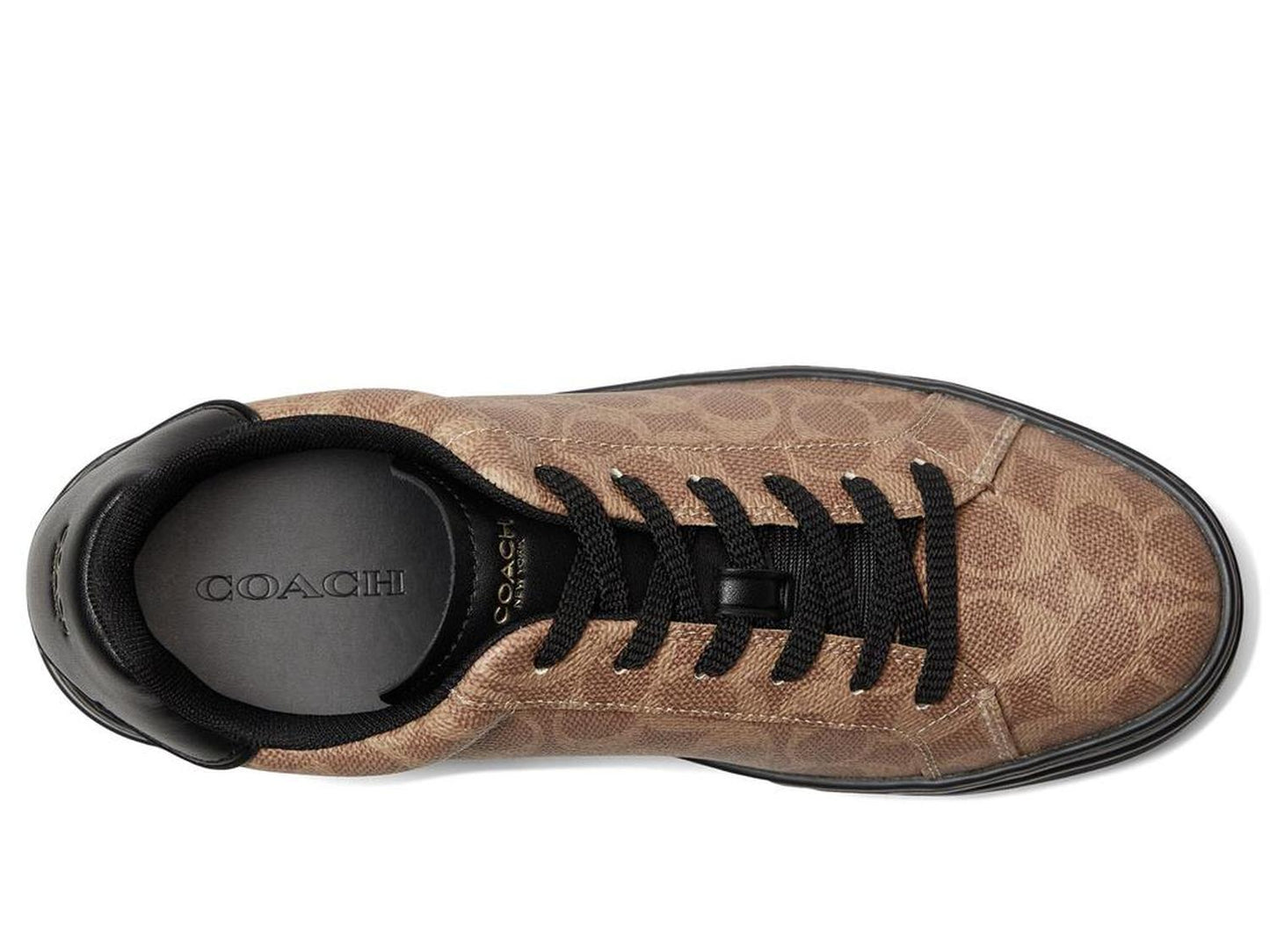High Line Sneaker In Signature Canvas