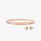 Precious Metal-Plated Brass Pavé Logo Engraved Jewelry Gift Set