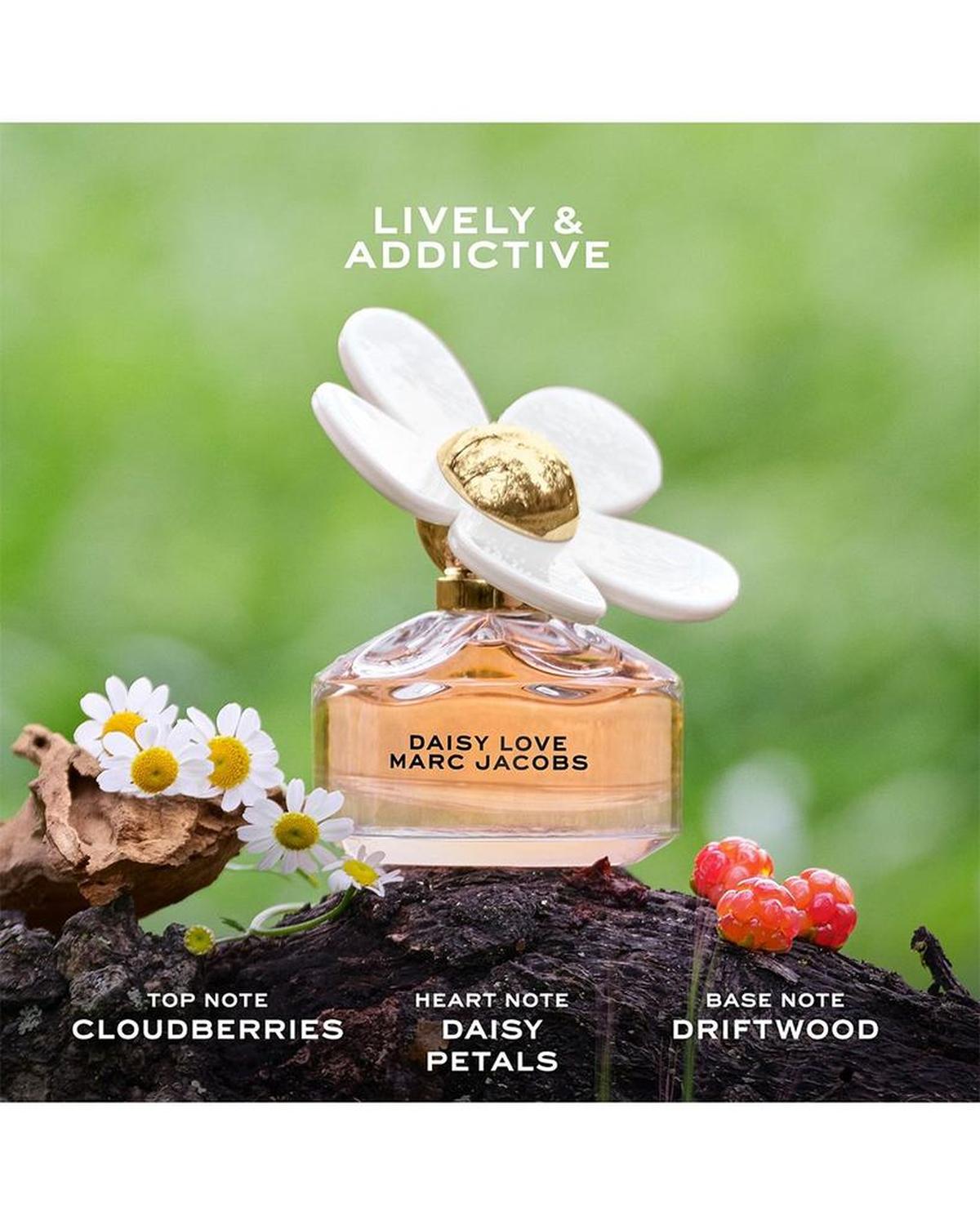 Daisy Fragrance Gift Set