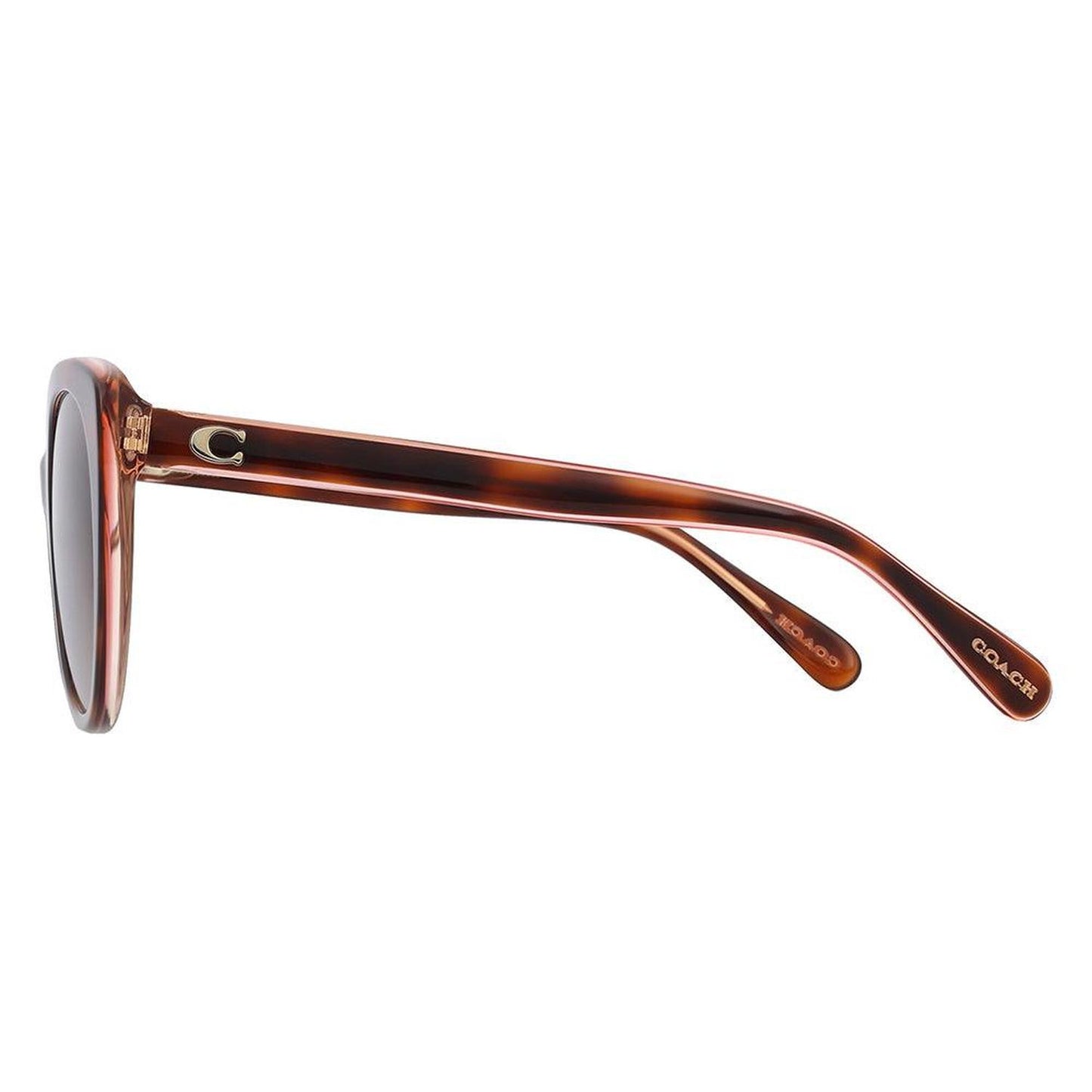 HC 8365U 574413 55mm Womens Cat-Eye Sunglasses