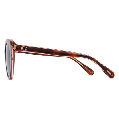 HC 8365U 574413 55mm Womens Cat-Eye Sunglasses