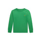 Cotton Jersey Long Sleeve Tee (Toddler/Little Kid)