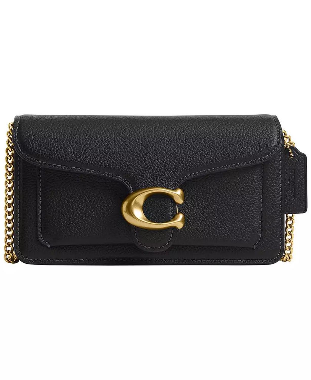 Tabby Small Pebble Leather Chain Crossbody Bag 19