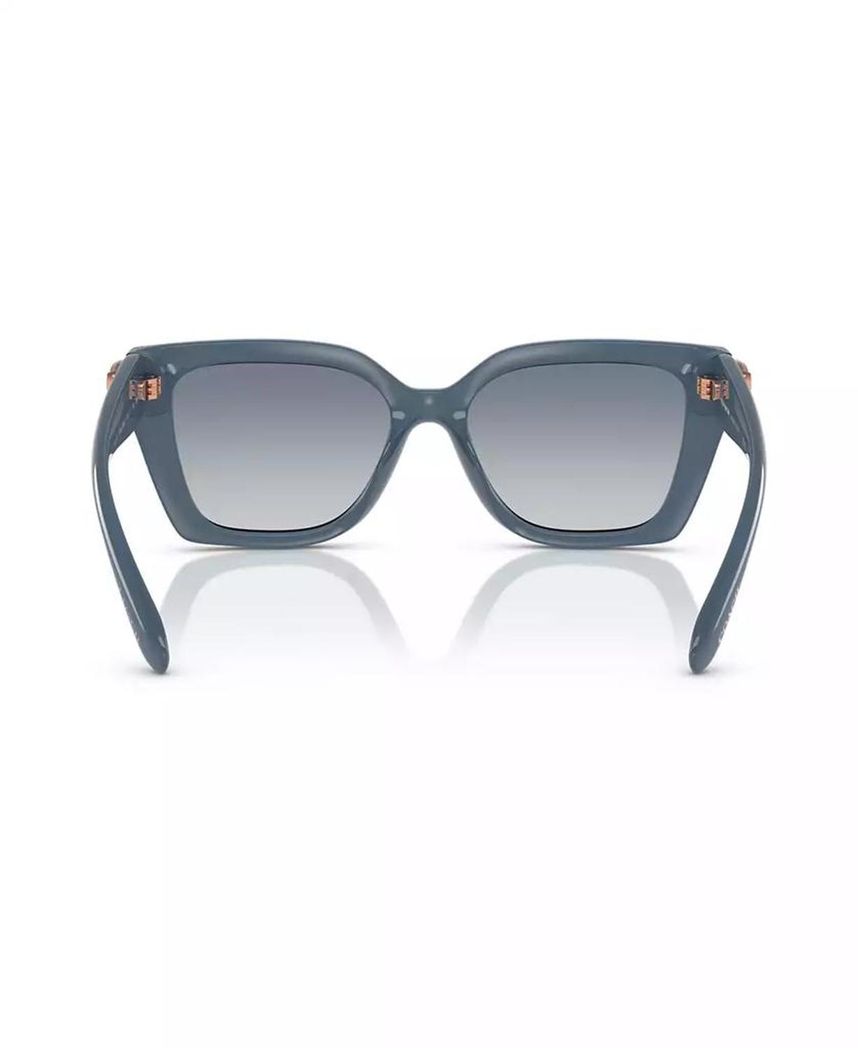 Women's Sunglasses, CW195 HC8408U