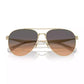 Women's Sunglasses, CW193 HC7169