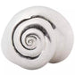 Shell Statement Ring