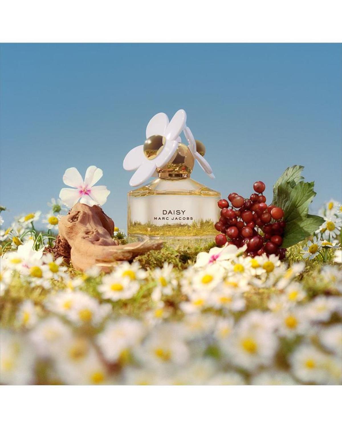 Daisy Eau de Toilette Gift Set ($197 value)