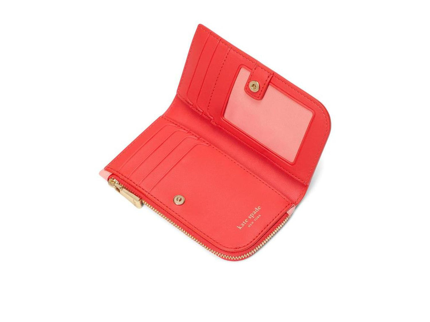 Devin Pop Trim Small Bifold Wallet