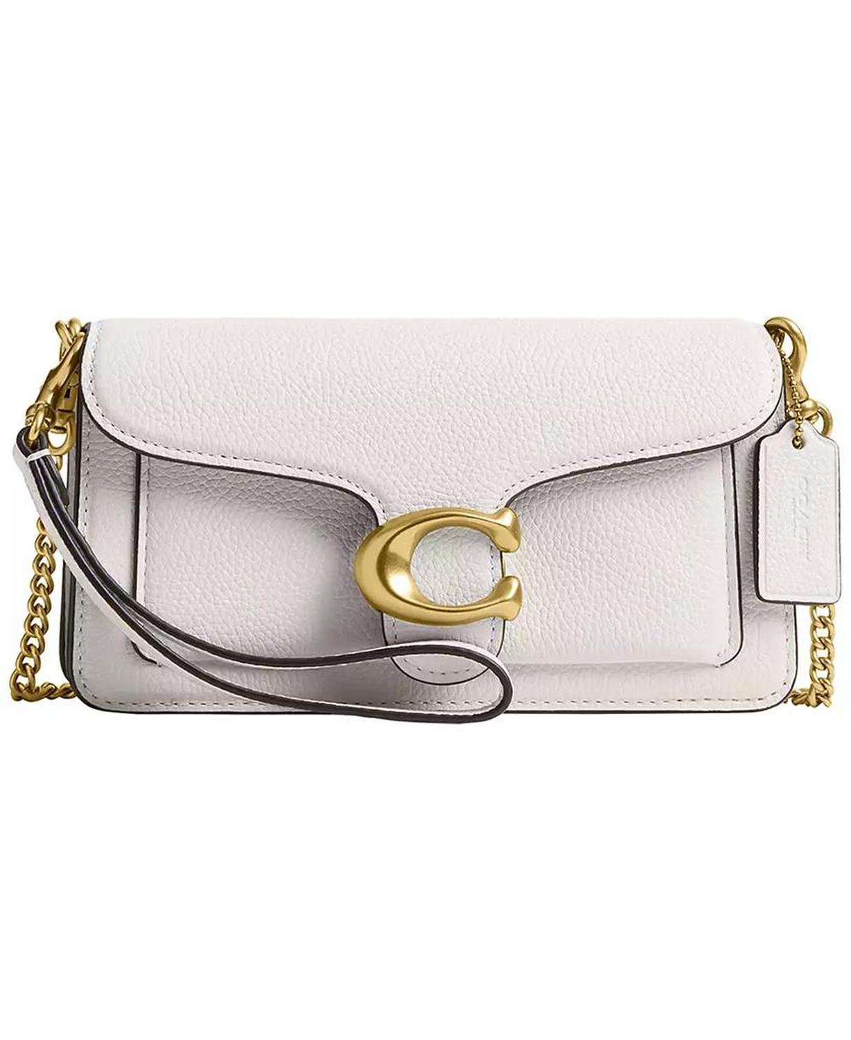 Tabby Small Pebble Leather Chain Crossbody Bag 19