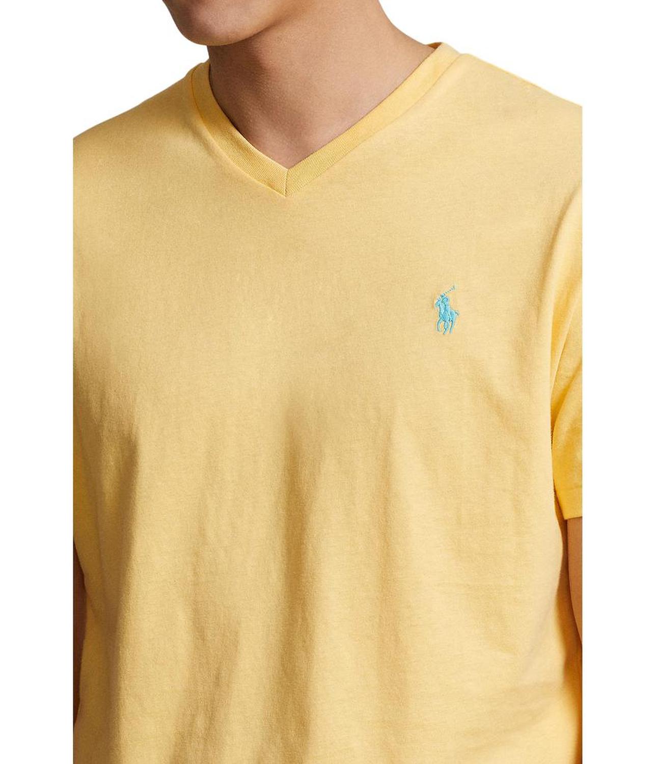 Classic Fit V-Neck Tee