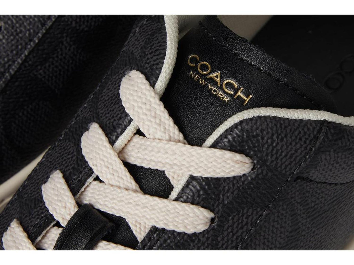 High Line Signature Coated Canvas Sneaker