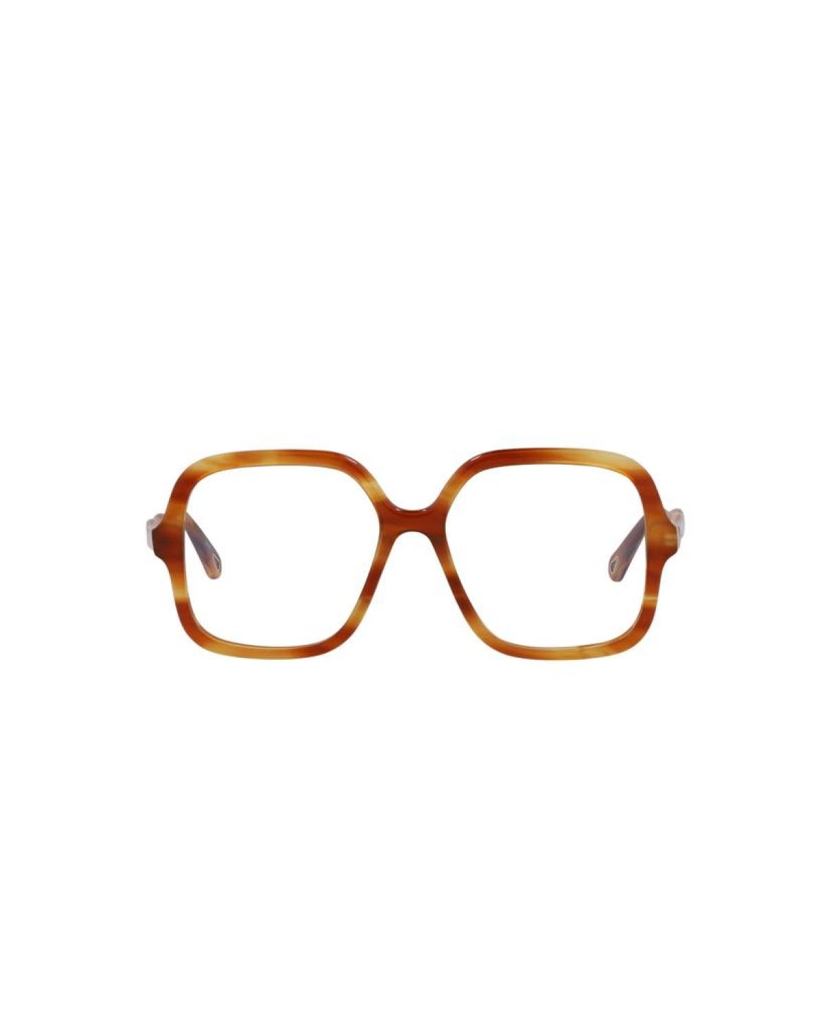 Square-Frame Bio Acetate Sunglasses