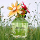 Daisy Wild Eau So Intense Eau de Parfum, 3.3 oz.