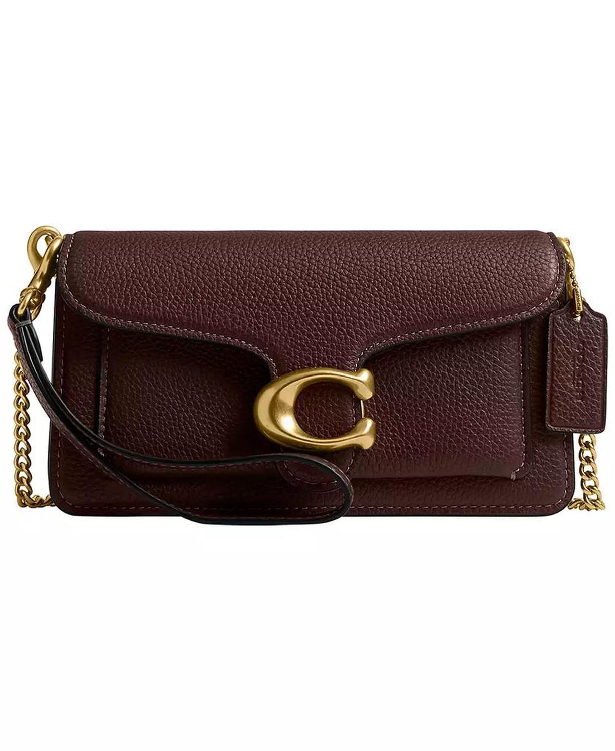 Tabby Small Pebble Leather Chain Crossbody Bag 19