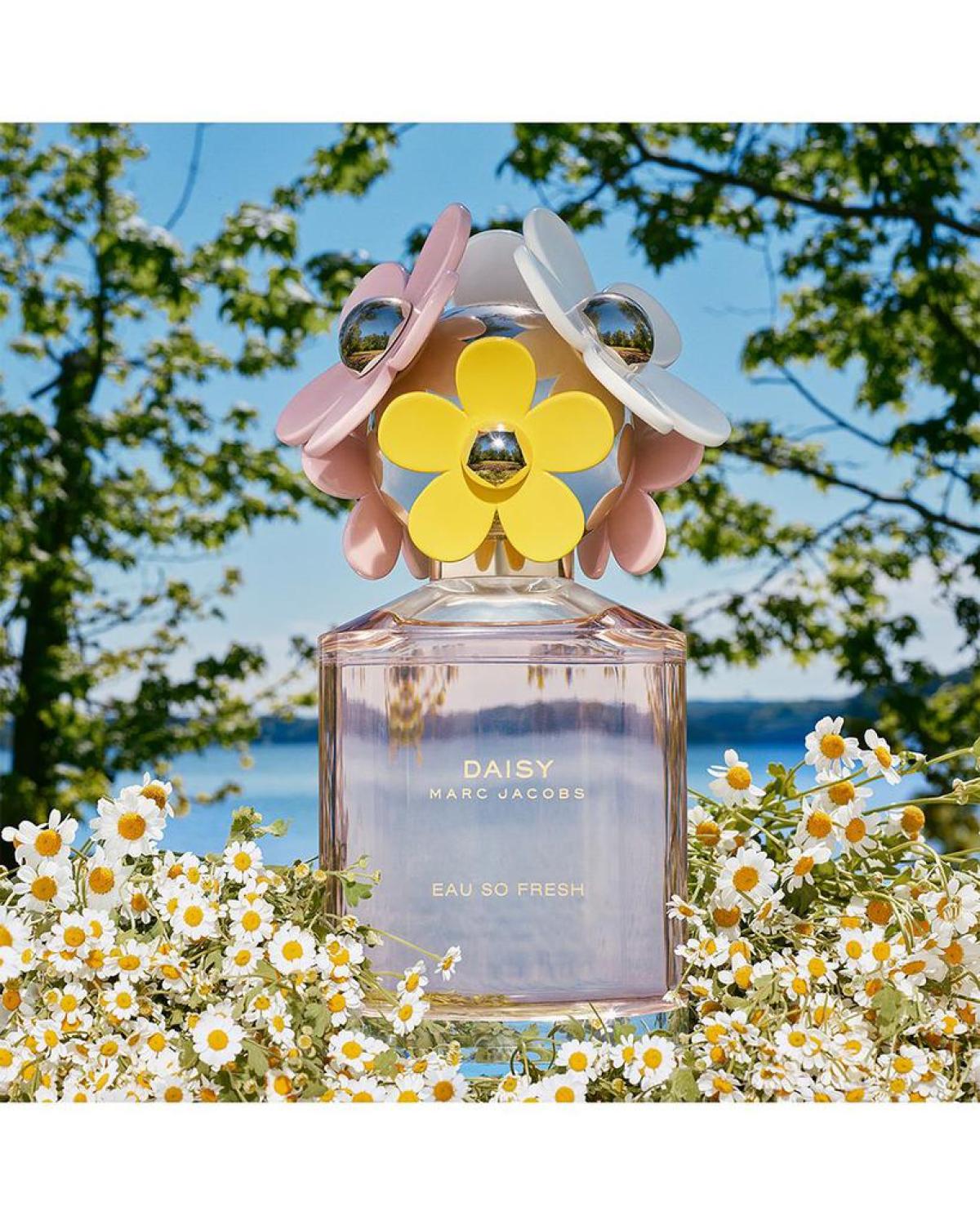 Daisy Eau So Fresh Eau de Toilette Gift Set ($213 value)