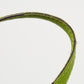 Michael Kors Brown/green Signature Coated Canvas And Leather Medium Snap Pocket Tote