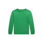 Cotton Jersey Long Sleeve Tee (Toddler/Little Kid)