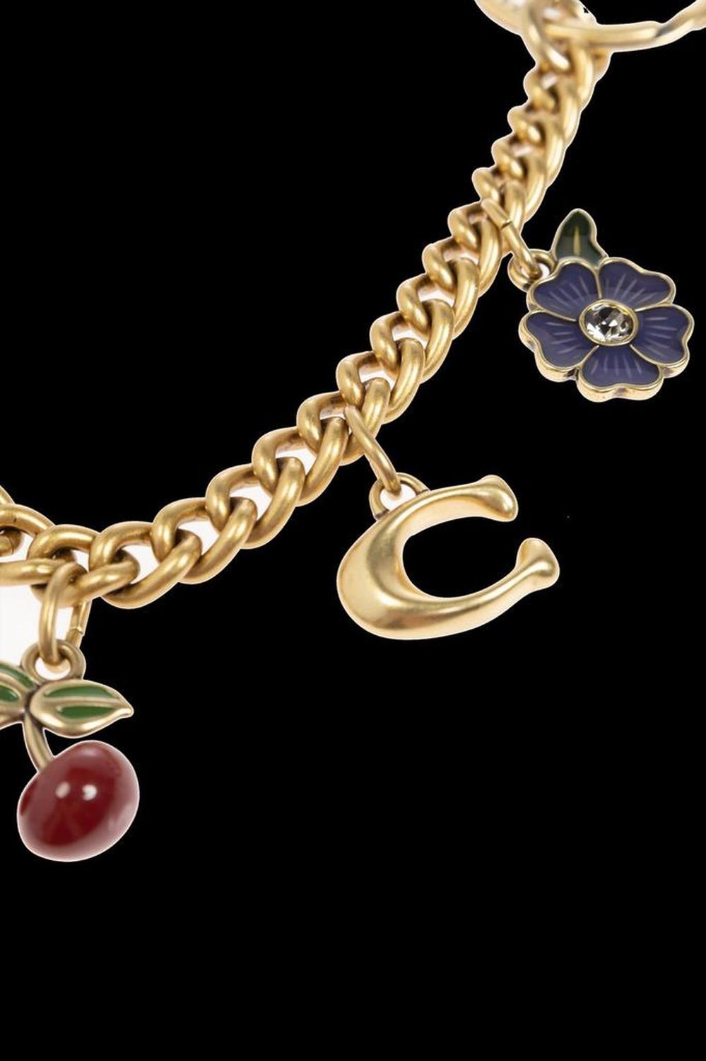 Coach Motif Chain Bag Charm