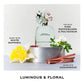 Perfect Fragrance Gift Set ($108 value)