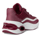 Toni Trainer