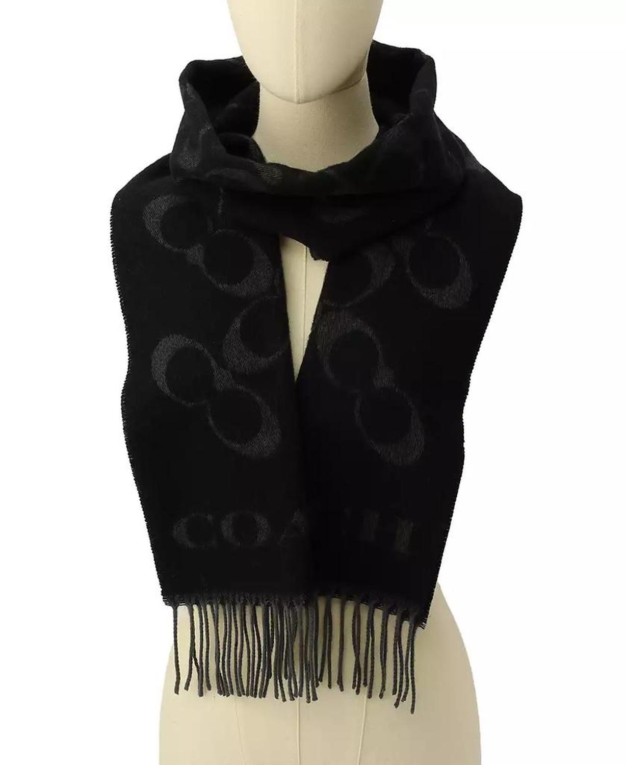 Women's Signature C Printed Scarf