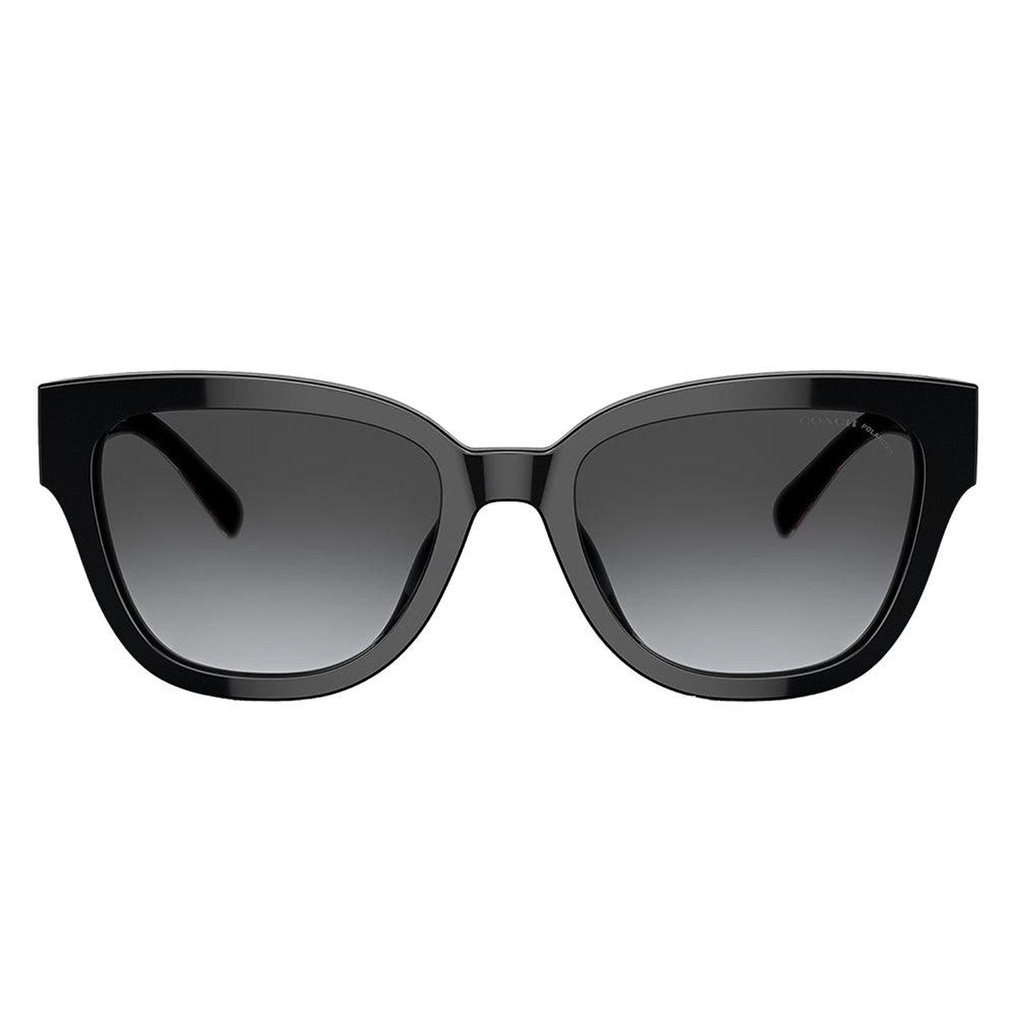 HC 8379U 5002T3 54mm Womens Butterfly Sunglasses