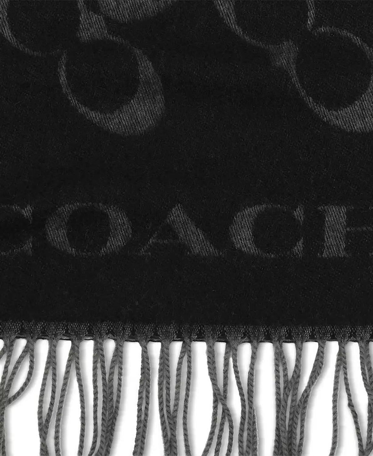 Women's Signature C Printed Scarf