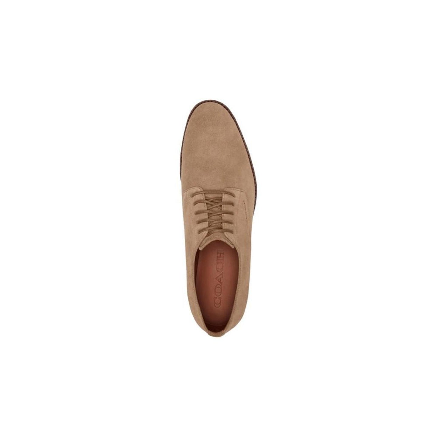 Men's Davi Suede Derby