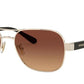 Coach 0HC7116 9005T5 Navigator Sunglasses