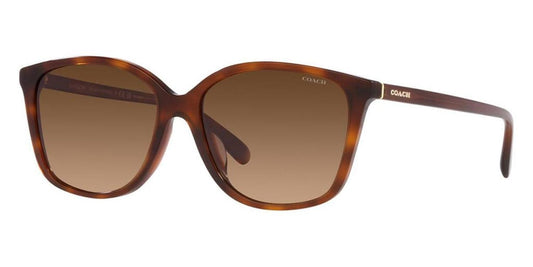 Coach Women's 57mm Caramel Tortoise Sunglasses