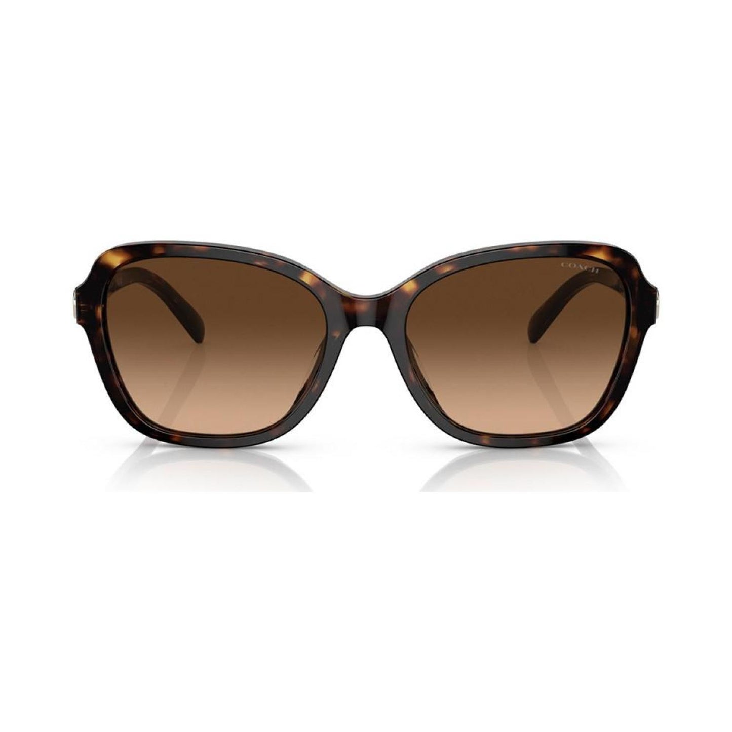 Women's Sunglasses, HC8349U