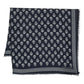 Alexander McQueen Scarfs Blue