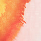 Alexander McQueen Scarfs Pink