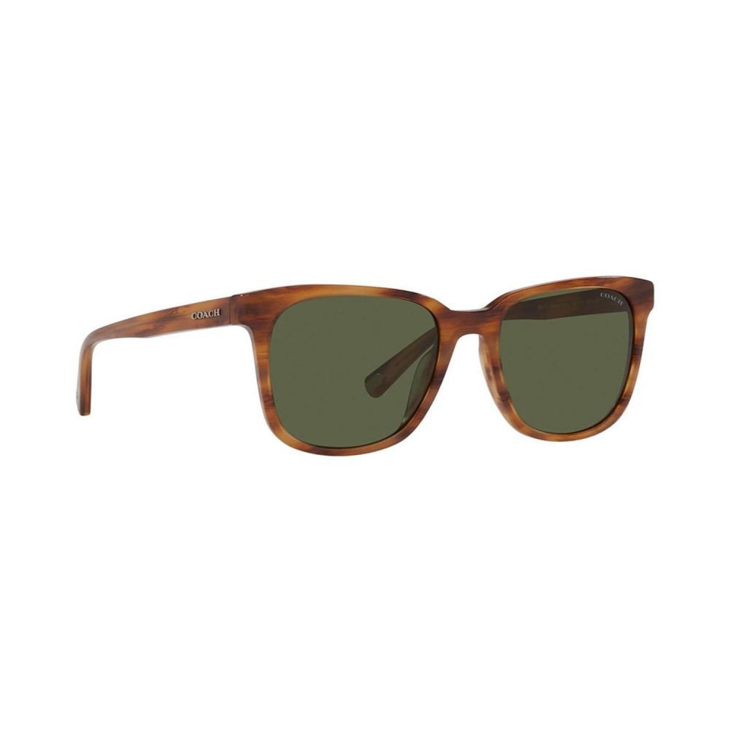 Sunglasses, HC8313U 54 C2095