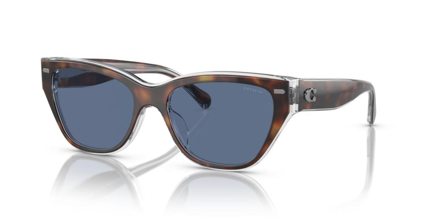 Coach Women's 56mm Tortoise/Transparent Beige Sunglasses