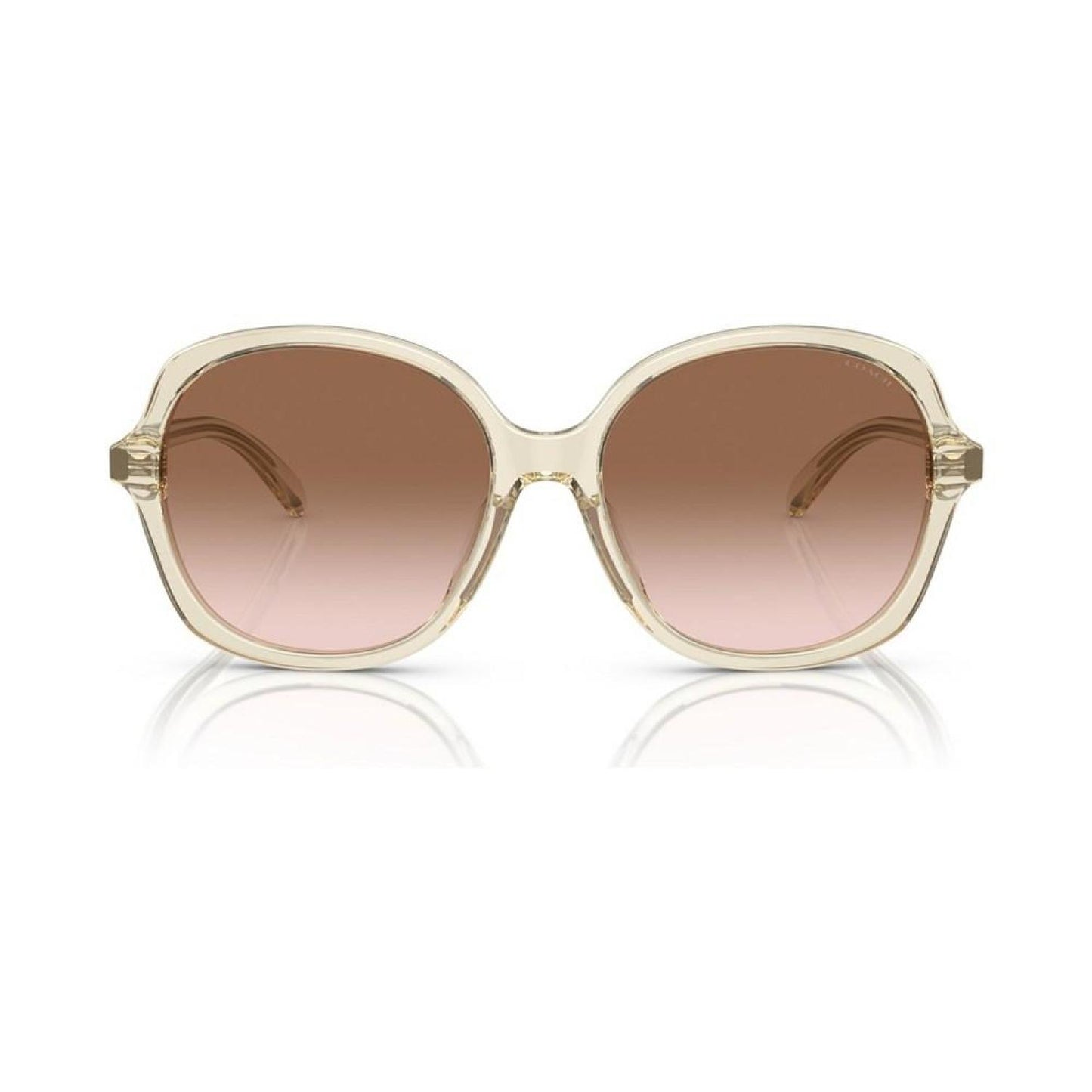 Women's Sunglasses, CH557