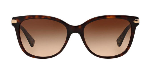Coach 0HC8132 529113 Cat Eye Sunglasses