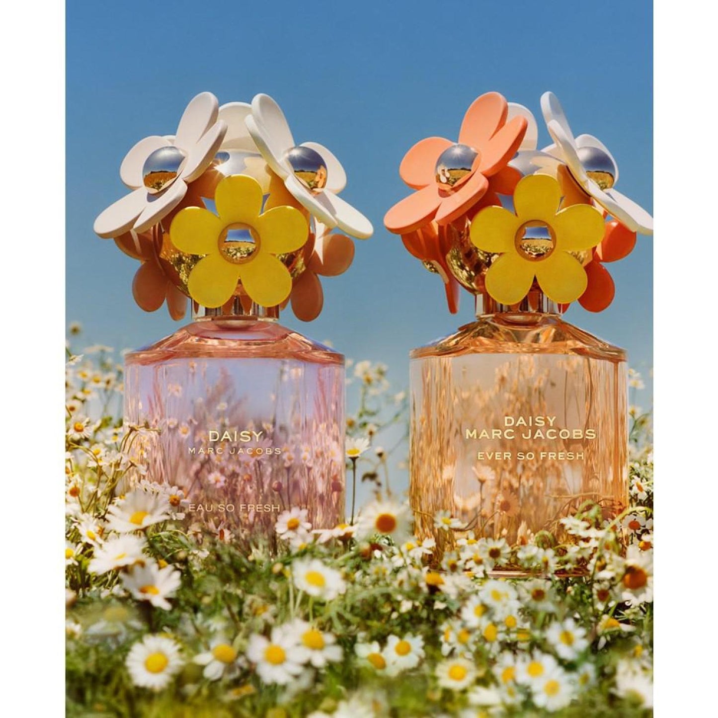 Daisy Ever So Fresh Eau de Parfum Spray, 4.2 oz.