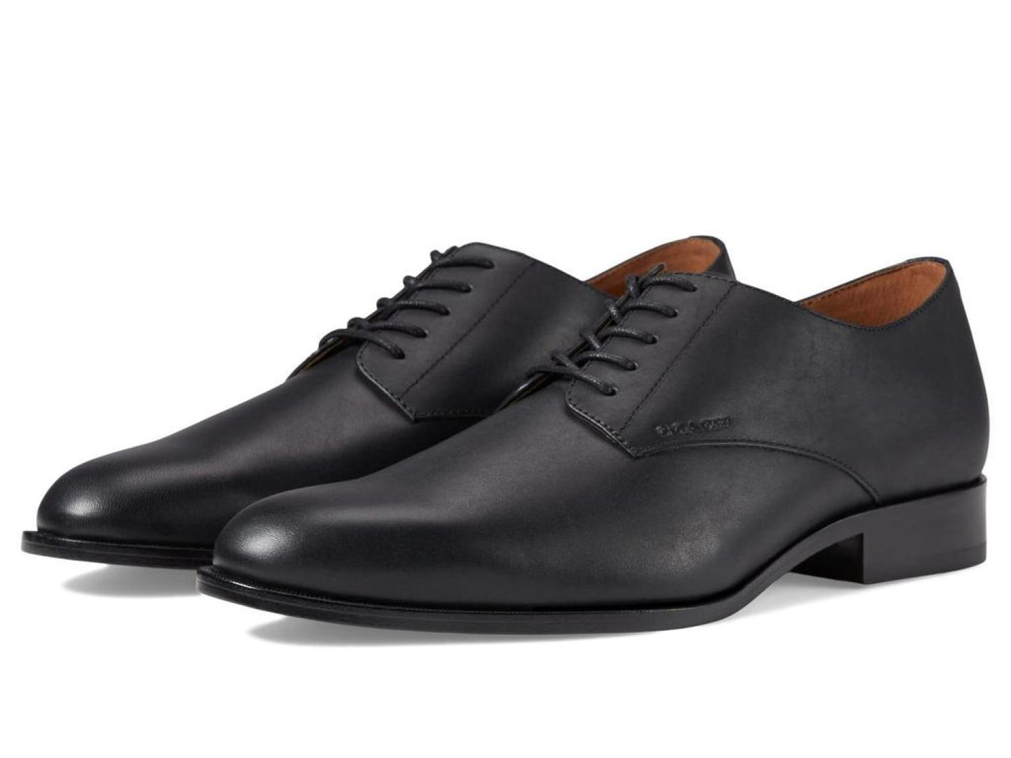 Sculpt C Derby