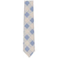 Men's Maysen Check Tie