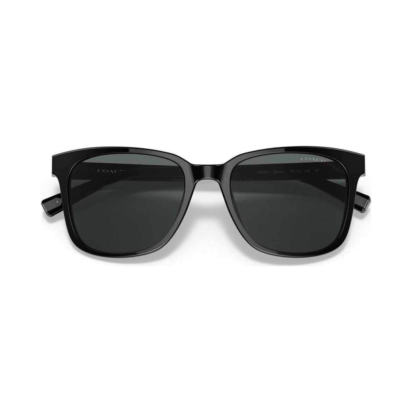 Men's Polarized Sunglasses, C2095